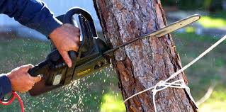 Best Aeration Services  in Jurupa Valley, CA