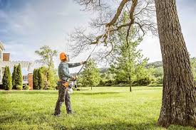 Best Lawn Watering Services  in Jurupa Valley, CA