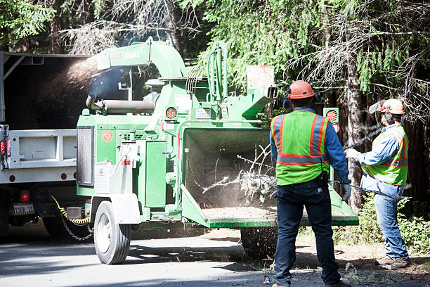 Best Weed Control  in Jurupa Valley, CA